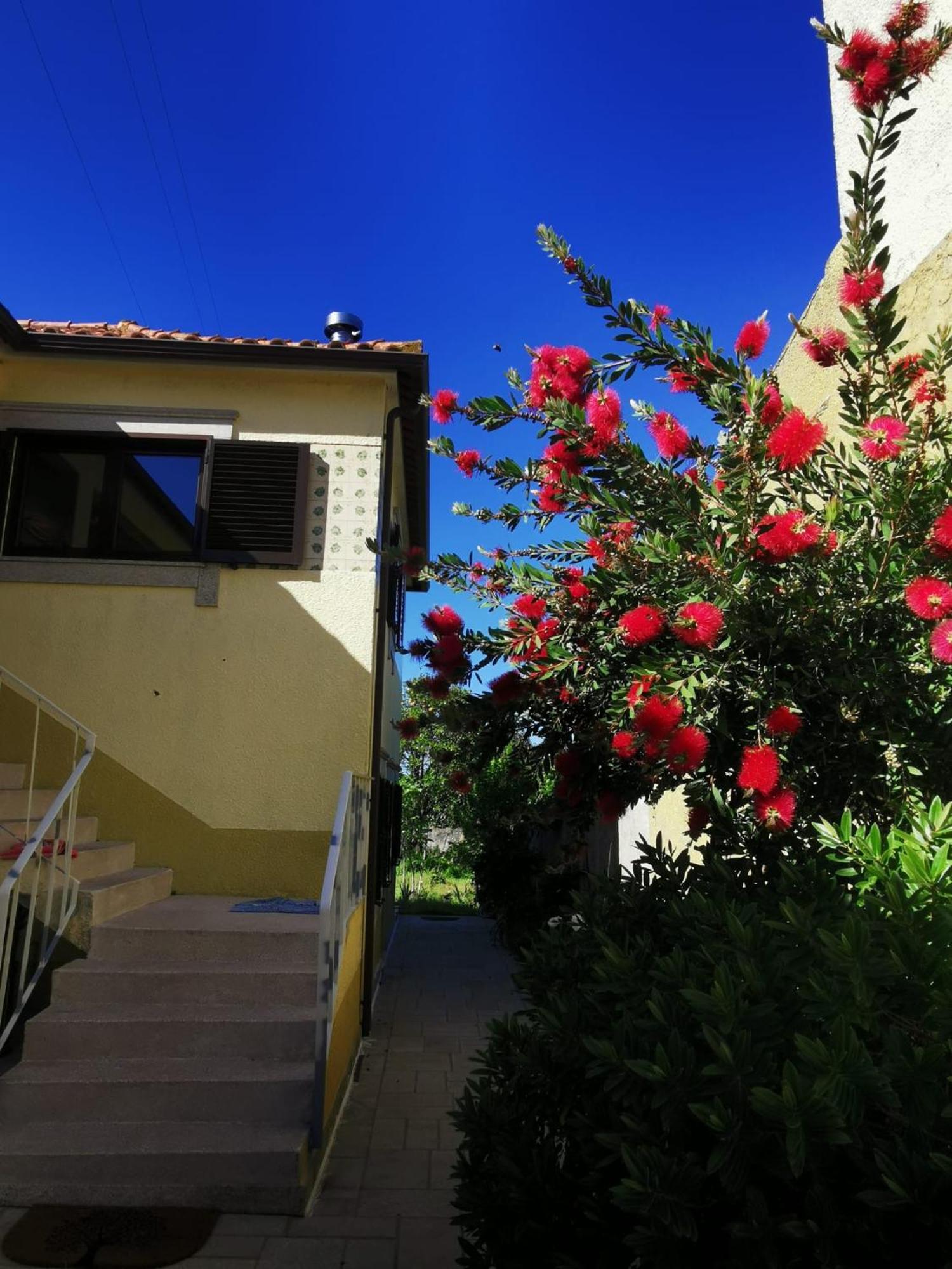 Bed and Breakfast Casa Sao Pedro Belinho Only Pilgrims Zewnętrze zdjęcie